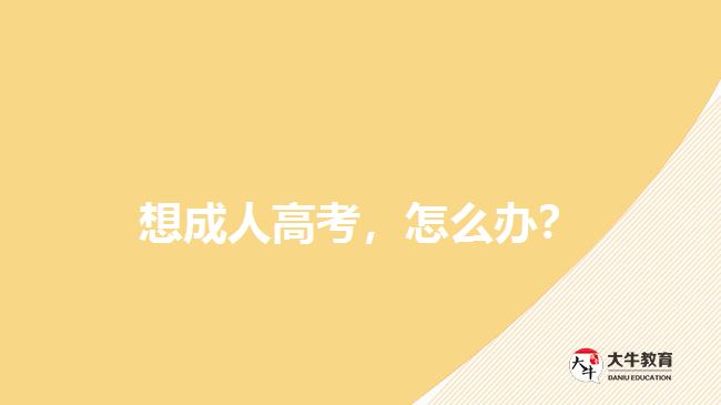 想成人高考，怎么辦？