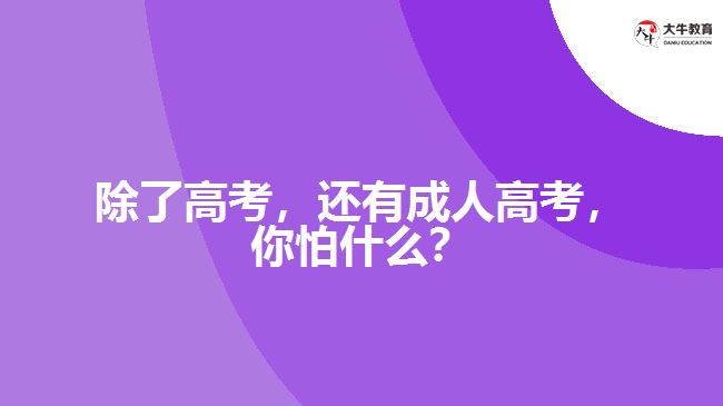 除了高考，還有成人高考，你怕什么？