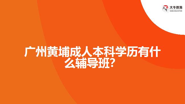 廣州黃埔成人本科學(xué)歷有什么輔導(dǎo)班？