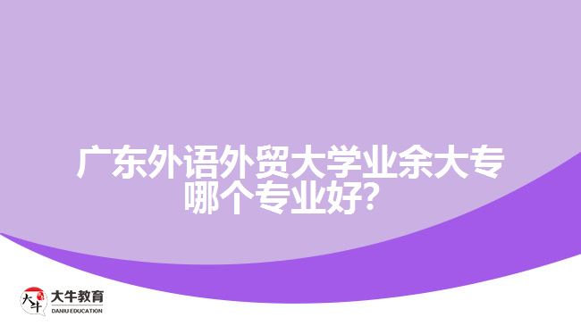 廣東外語(yǔ)外貿(mào)大學(xué)業(yè)余大專哪個(gè)專業(yè)好？