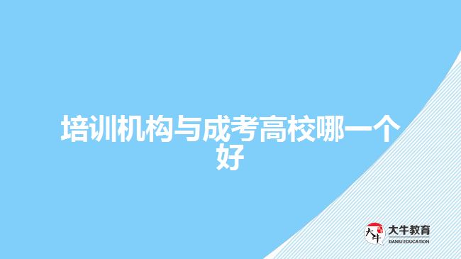 培訓機構與成考高校哪一個好