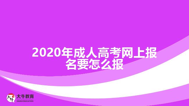 ，2020年成人高考網(wǎng)上報(bào)名要怎么報(bào)