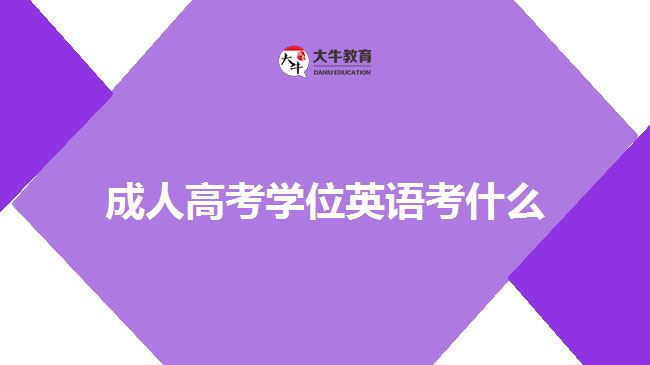 成人高考學(xué)位英語(yǔ)考什么
