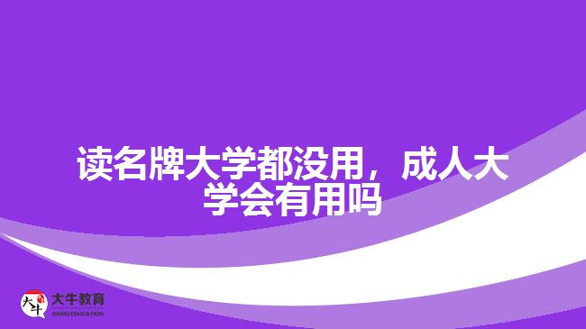 讀名牌大學都沒用，成人大學會有用嗎
