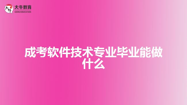 成考軟件技術(shù)專業(yè)畢業(yè)能做什么