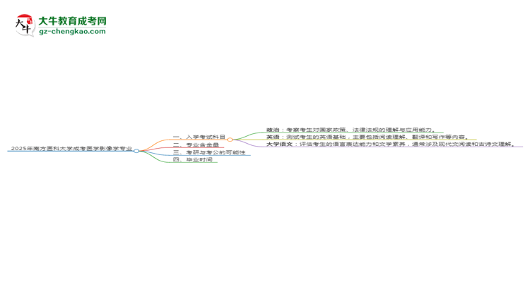 2025年南方醫(yī)科大學成考醫(yī)學影像學專業(yè)入學考試科目有哪些？思維導圖