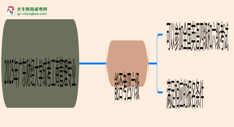 廣東財(cái)經(jīng)大學(xué)2025年成考工商管理專業(yè)生可不可以考四六級(jí)？思維導(dǎo)圖