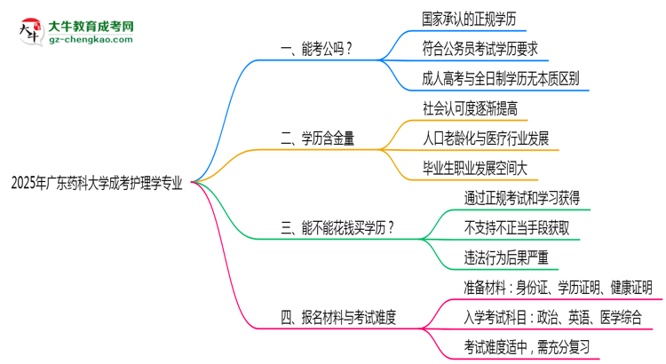 廣東藥科大學(xué)2025年成考護(hù)理學(xué)專業(yè)學(xué)歷能考公嗎？思維導(dǎo)圖