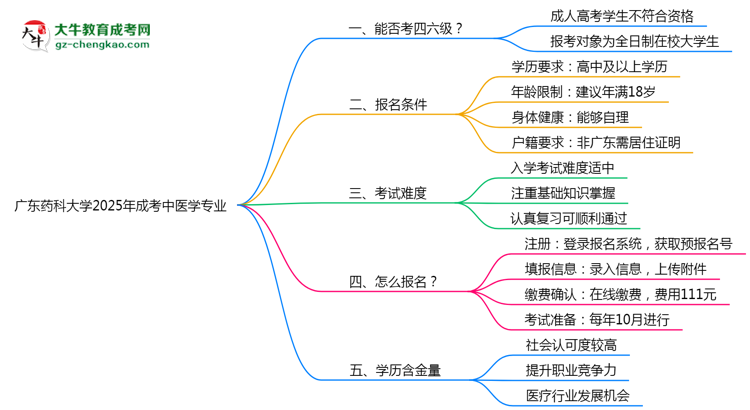 廣東藥科大學(xué)2025年成考中醫(yī)學(xué)專業(yè)生可不可以考四六級(jí)？思維導(dǎo)圖