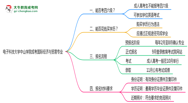 電子科技大學(xué)中山學(xué)院2025年成考國際經(jīng)濟與貿(mào)易專業(yè)生可不可以考四六級?思維導(dǎo)圖