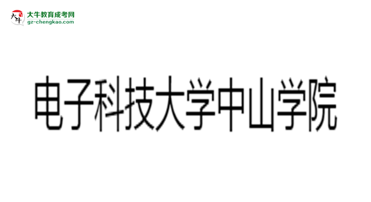 電子科技大學中山學院2025年成考財務管理專業(yè)生可不可以考四六級？思維導圖