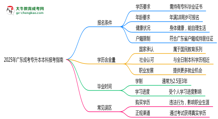 2025年廣東成考專升本本科報考指南:學(xué)歷/年齡要求必看思維導(dǎo)圖