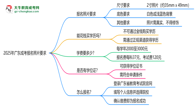 2025年廣東成考報(bào)名照片要求:尺寸+底色思維導(dǎo)圖