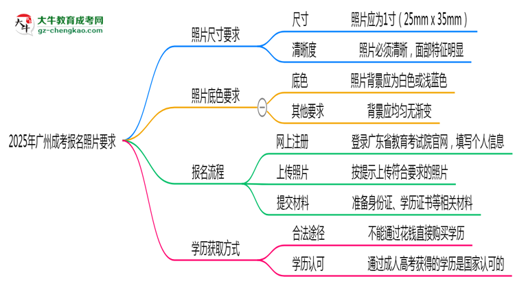 2025年廣州成考報名照片要求：尺寸+底色思維導(dǎo)圖