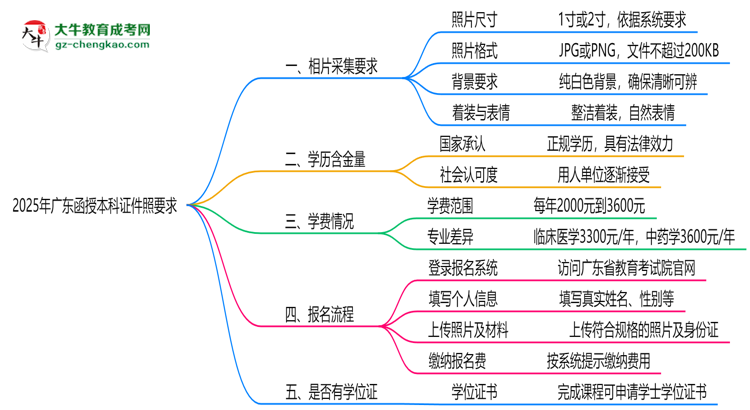 2025年廣東函授本科證件照要求：藍(lán)底/尺寸/修圖思維導(dǎo)圖