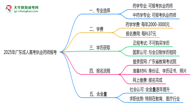 2025年廣東成人高考執(zhí)業(yè)藥師報(bào)考專業(yè)思維導(dǎo)圖