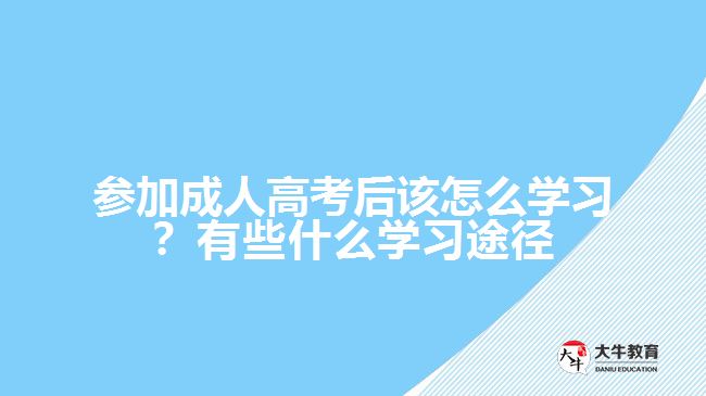 參加成人高考后該怎么學習?有些什么學習途徑