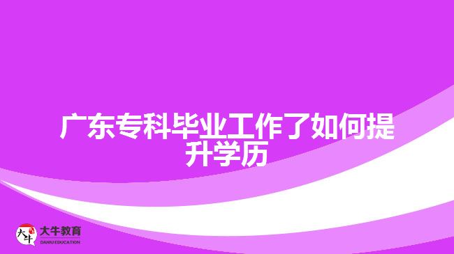 廣東?？飘厴I(yè)工作了如何提升學(xué)歷