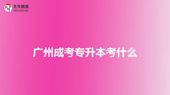 廣州成考專(zhuān)升本考什么