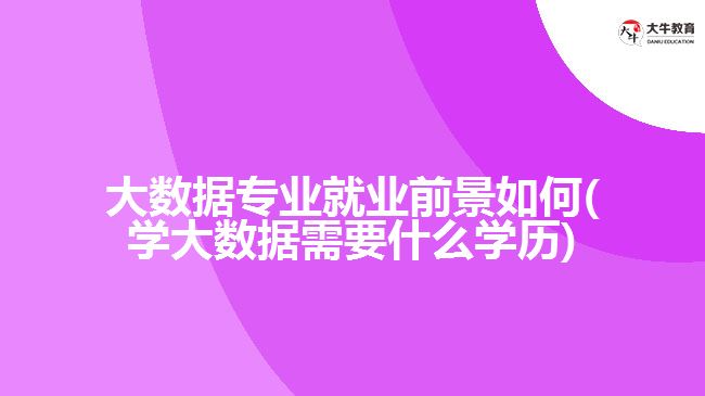 大數據專業(yè)就業(yè)前景如何(學大數據需要什么學歷)