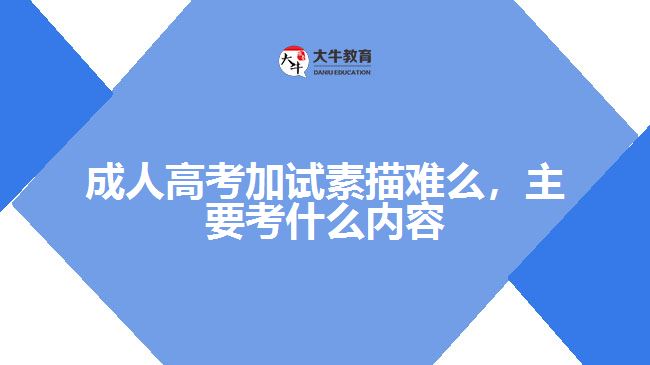 成人高考加試素描難么,主要考什么內(nèi)容