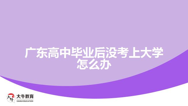 廣東高中畢業(yè)后沒考上大學怎么辦