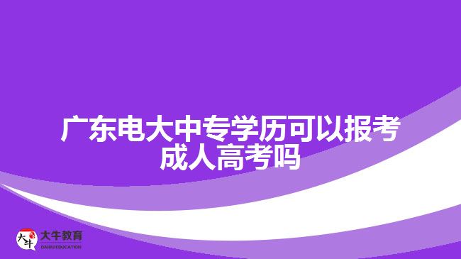 廣東電大中專學歷可以報考成人高考嗎