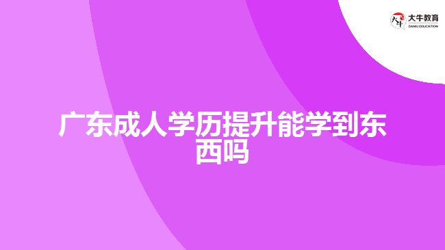 廣東成人學歷提升能學到東西嗎