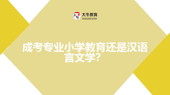 成考小學(xué)教育還是漢語(yǔ)言文學(xué)？