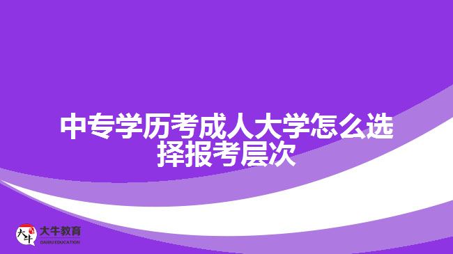 中專考成人大學(xué)怎么選擇報(bào)考層次