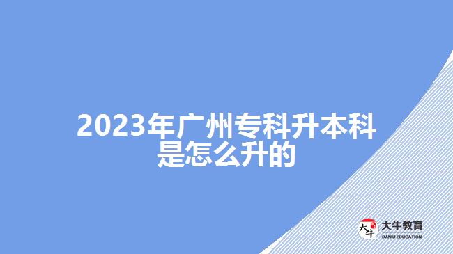 2023年廣州?？粕究剖窃趺瓷? /></div>
<p>　　成人高考專升本、自考專升本和開放大學(xué)專升本，都屬于成人教育專升本，是非全日制教學(xué)模式，適合社會(huì)在職、從業(yè)人員和社會(huì)其他人員報(bào)考，不需要脫離生成，可利用自己空閑的時(shí)間業(yè)余學(xué)習(xí)。</p>
<p>　　成考專升本，適合已經(jīng)取得畢業(yè)證的專科畢業(yè)生報(bào)考，報(bào)廣州2023年成人高考可在9月份網(wǎng)上報(bào)名，考生參加入學(xué)考試，成人高校根據(jù)考試分?jǐn)?shù)擇優(yōu)錄取。通過成考而取得入學(xué)資格，經(jīng)過2.5年學(xué)制或3年學(xué)制在校學(xué)習(xí)，達(dá)到畢業(yè)要求，可取得學(xué)校頒發(fā)的本科畢業(yè)證。</p>
<p>　　自考沒有學(xué)歷、年齡等報(bào)名限制，?？圃谧x或?qū)？飘厴I(yè)的考生，都可以選擇自考專升本考取本科學(xué)歷。報(bào)名自考，考生可自學(xué)也可以報(bào)班學(xué)習(xí)，再一門課程一門課程參加考試，所有科目合格后且具備有大專學(xué)歷，可申請(qǐng)畢業(yè)。</p>
<p>　　【推薦閱讀：<a href=