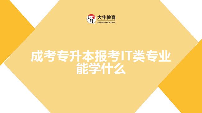 成考專升本報考IT類專業(yè)能學(xué)什么