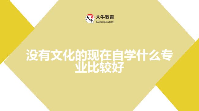 沒(méi)有文化的現(xiàn)在自學(xué)什么專業(yè)比較好