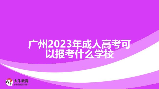 2023年成人高考可以報考什么學(xué)校