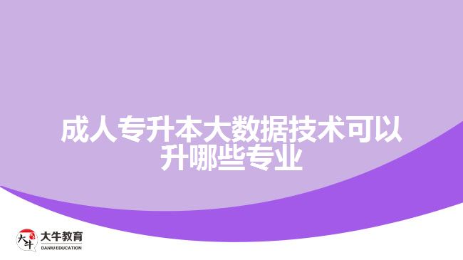 成人專升本大數(shù)據(jù)技術可以升哪些專業(yè)