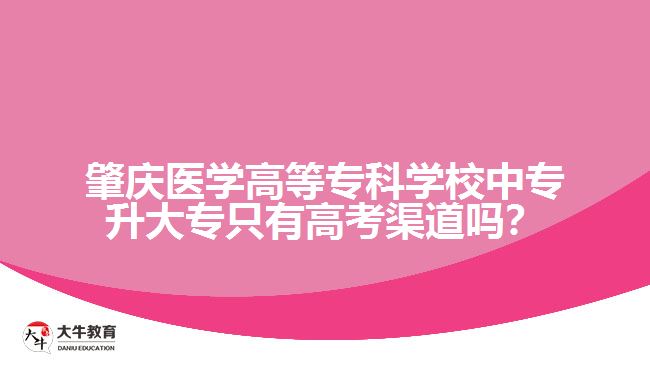 肇慶醫(yī)學(xué)高等?？茖W(xué)校中專升大專只有高考渠道嗎？