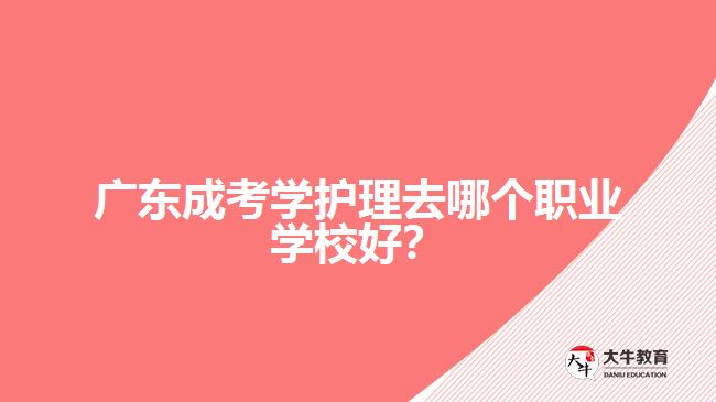 廣東成考學護理去哪個職業(yè)學校好？