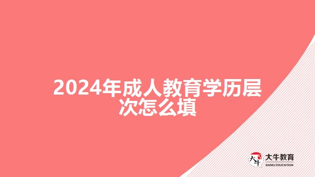 2024年成人教育學(xué)歷層次怎么填 2024年成人教育學(xué)歷層次怎么填