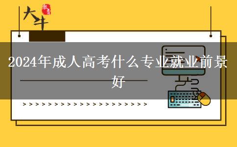 2024年成人高考什么專業(yè)就業(yè)前景好 2024年成人高考什么專業(yè)就業(yè)前景好