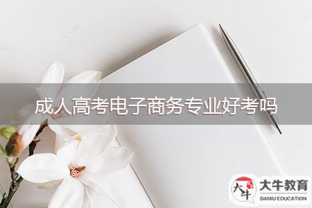 成人高考電子商務專業(yè)好考嗎