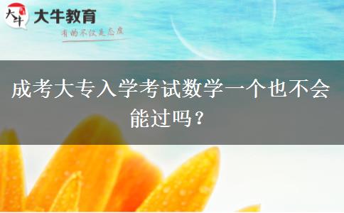 成考大專入學(xué)考試數(shù)學(xué)一個(gè)也不會(huì)能過嗎？