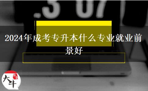 2024年成考專升本什么專業(yè)就業(yè)前景好 2024年成考專升本什么專業(yè)就業(yè)前景好