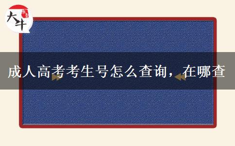 成人高考考生號怎么查詢，在哪查