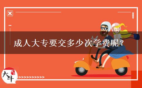 成人大專要交多少次學費呢？