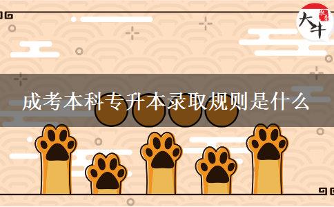 成考本科專升本錄取規(guī)則是什么 成考本科專升本錄取規(guī)則是什么