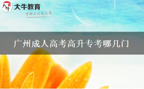 廣州成人高考高升專(zhuān)考哪幾門(mén) 廣州成人高考高升專(zhuān)考哪幾門(mén)
