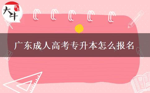 廣東成人高考專升本怎么報名 廣東成人高考專升本怎么報名