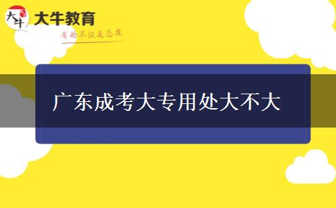 廣東成考大專用處大不大 廣東成考大專用處大不大