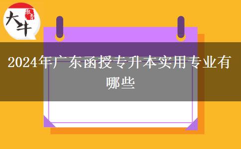 2024年廣東函授專升本實(shí)用專業(yè)有哪些 2024年廣東函授專升本實(shí)用專業(yè)有哪些