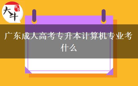 廣東成人高考專升本計算機專業(yè)考什么 廣東成人高考專升本計算機專業(yè)考什么